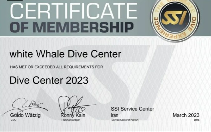 certificate of membership